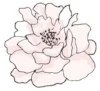 EA_flowerWEB.jpg
