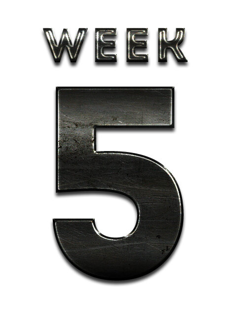 week5.jpg