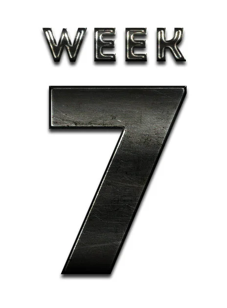 week7.jpg