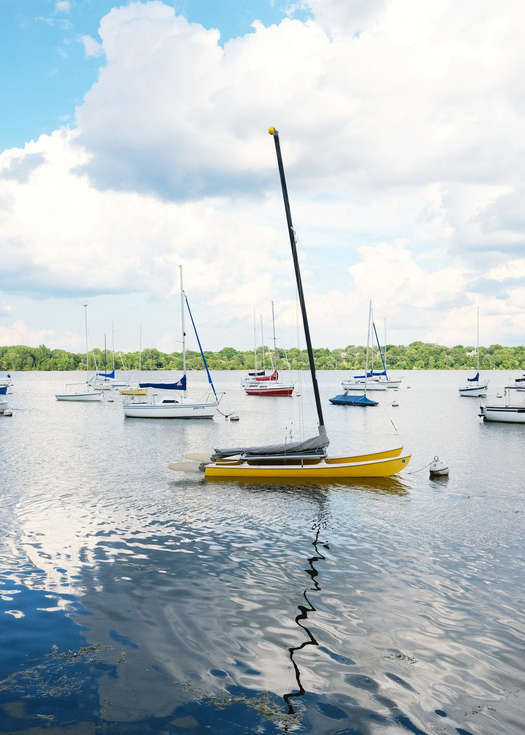 TRAILMARK | Amazing Summer Sale
