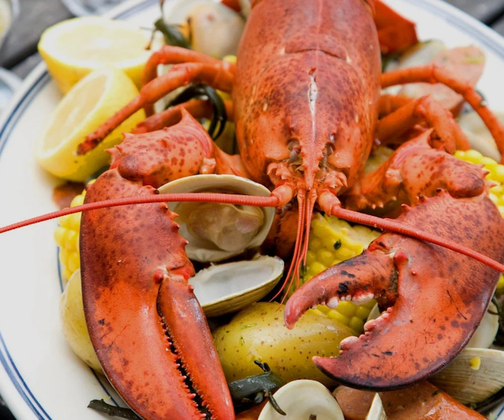 PITTSBURGH BLUE | Holiday Gift Card Promotion