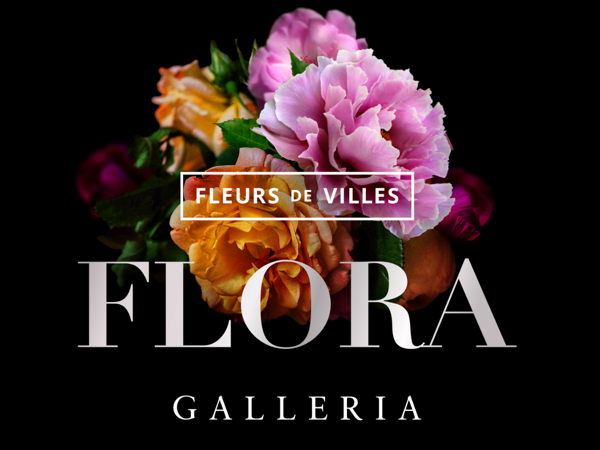 GALLERIA | Fleurs de Villes FLORA