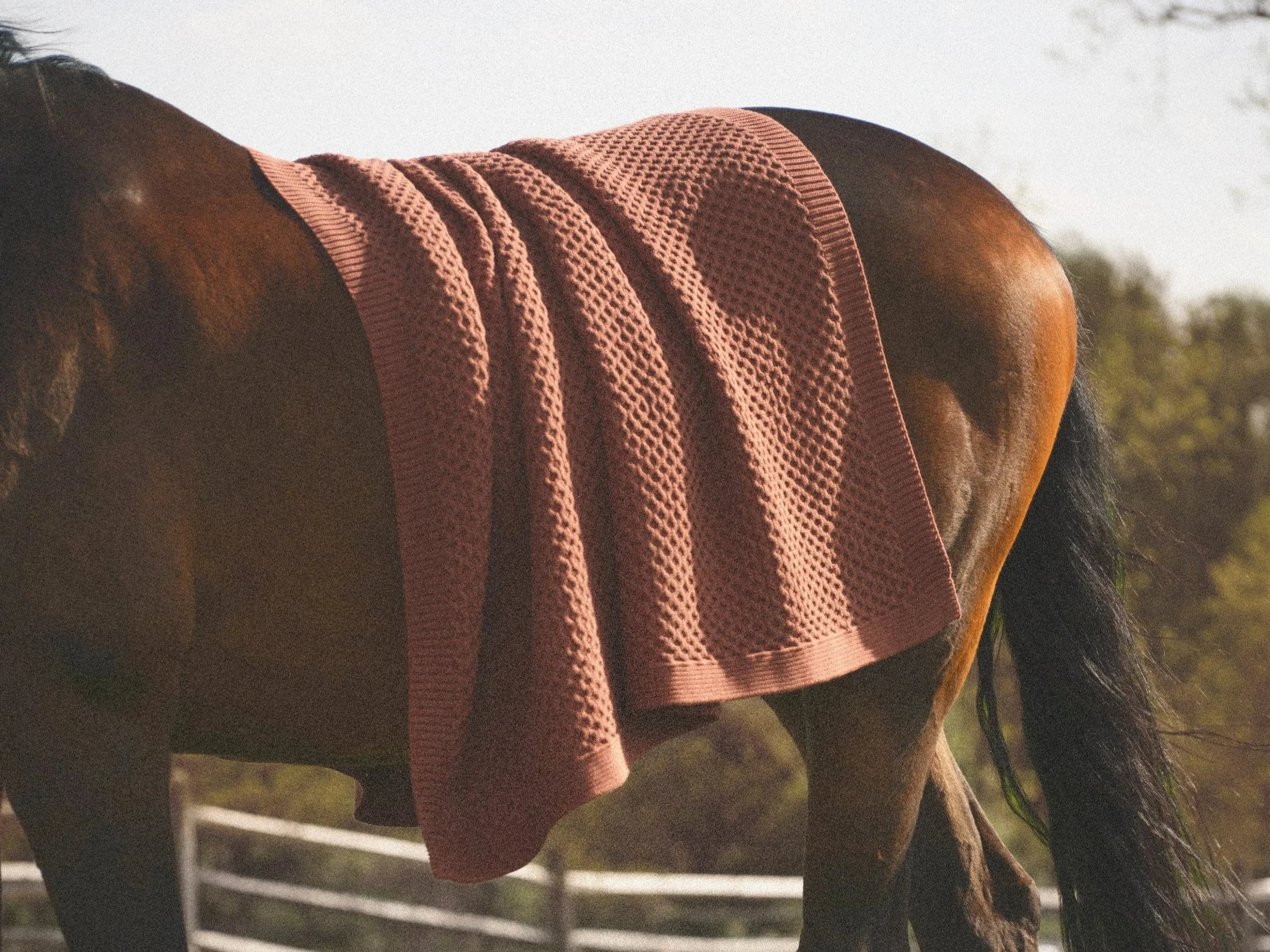 BOLL &amp; BRANCH | The Fall Bedding Event