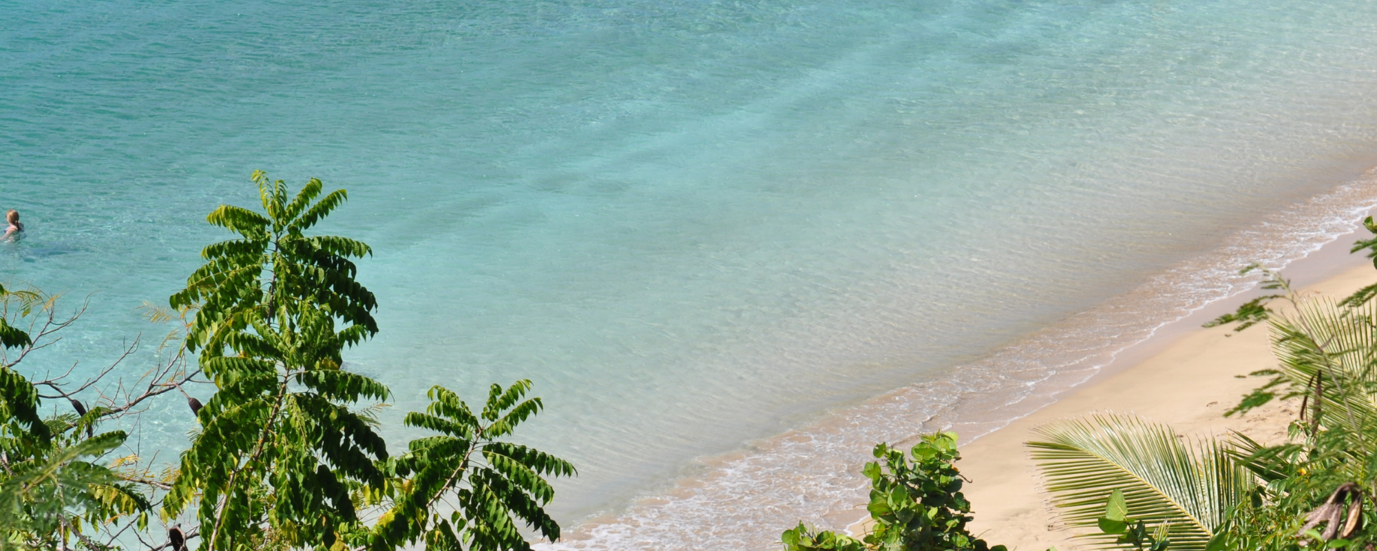 Copy of summer-2000x1000 (1).png
