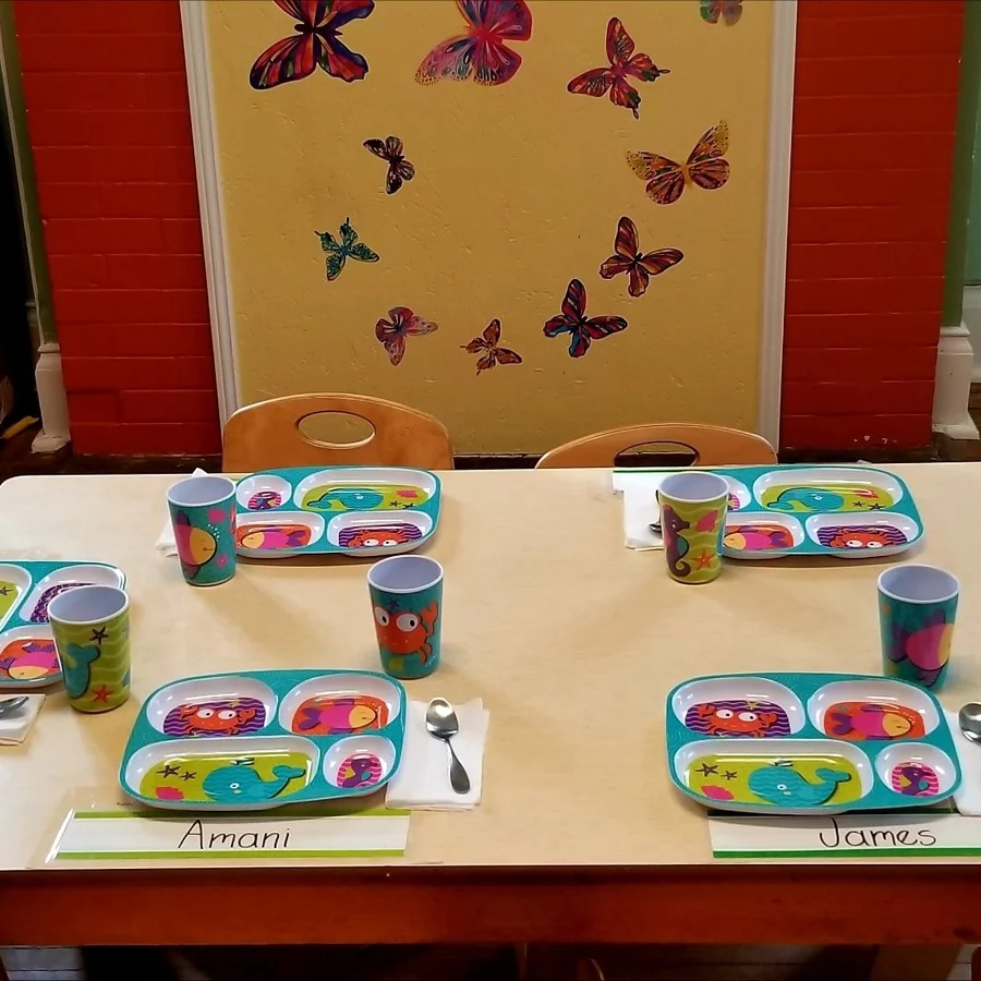 reusable plates.jpg