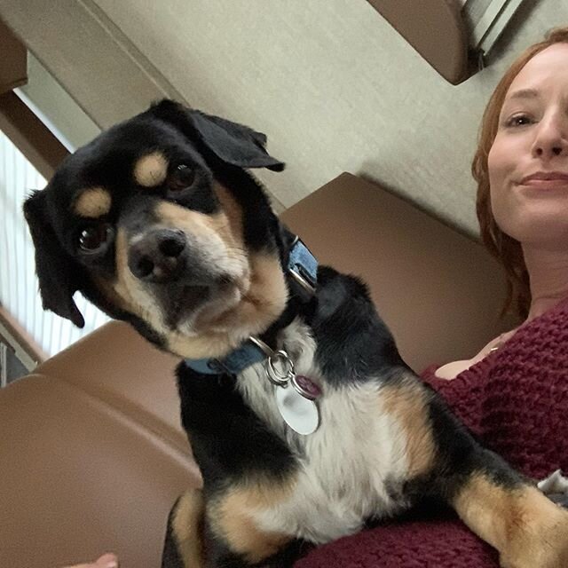 ernest decided my chest would make a perfect cushion during a break in our day yesterday ❤️ happy weekend, friends. @theimportanceofbeingernesth