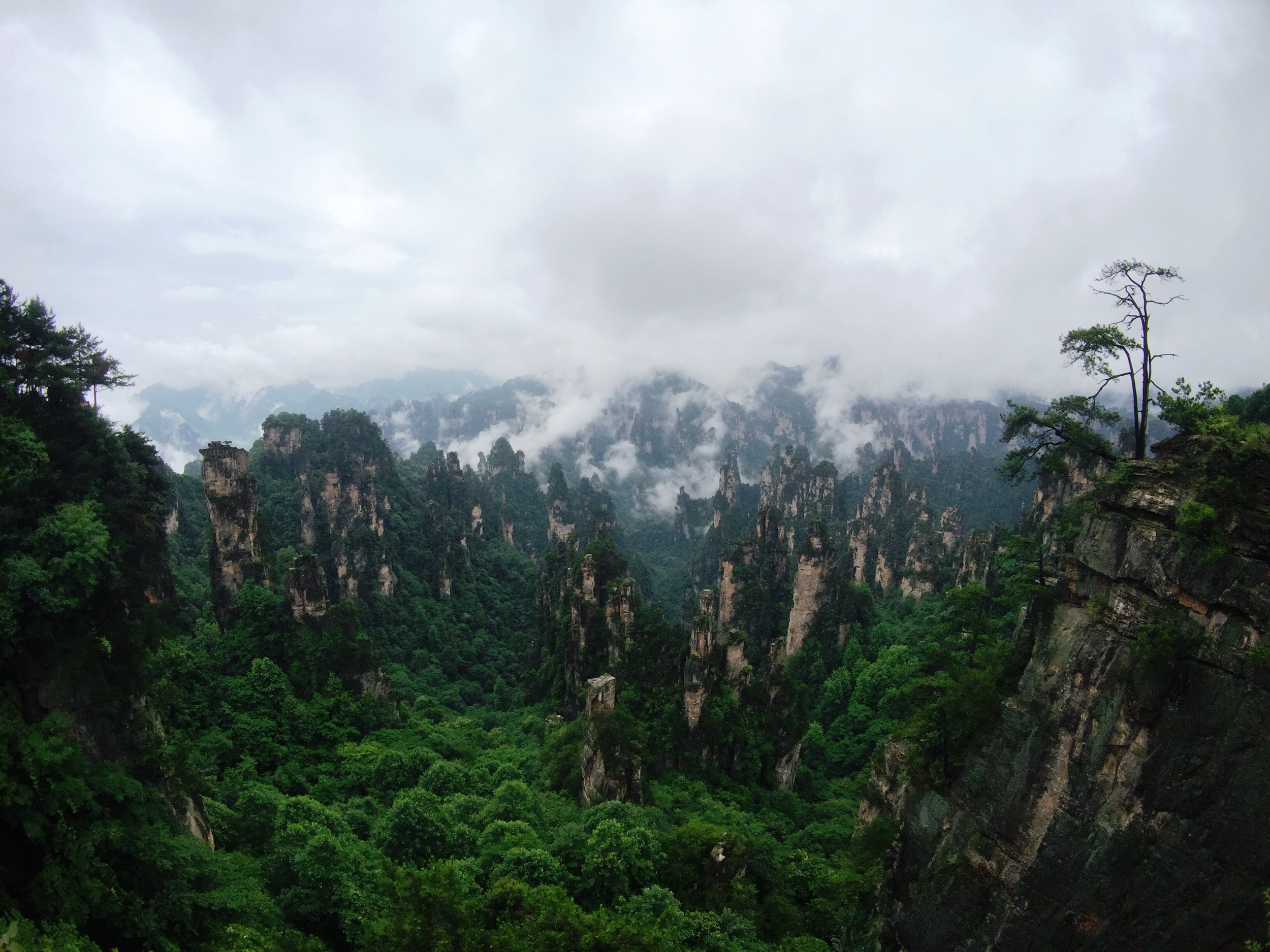Zhangjiajie located in the northwest Hunan Province contains some of China's most spectacular landforms, streams and forest areas. The area became famous after the release of James Cameron's box office hit Avatar, in which the Hallelujah Mountains w…