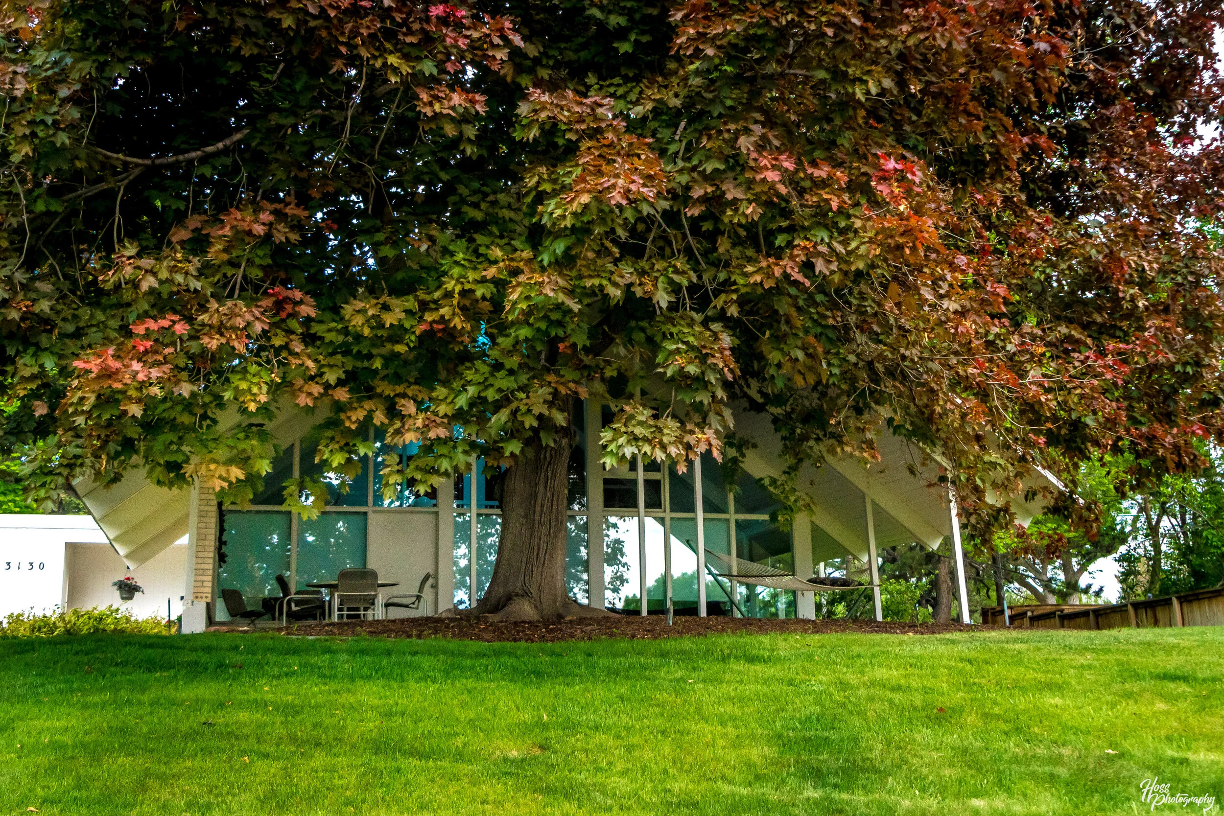 Southern Hills and Wellshire Denver, Colorado MidCentury Modern