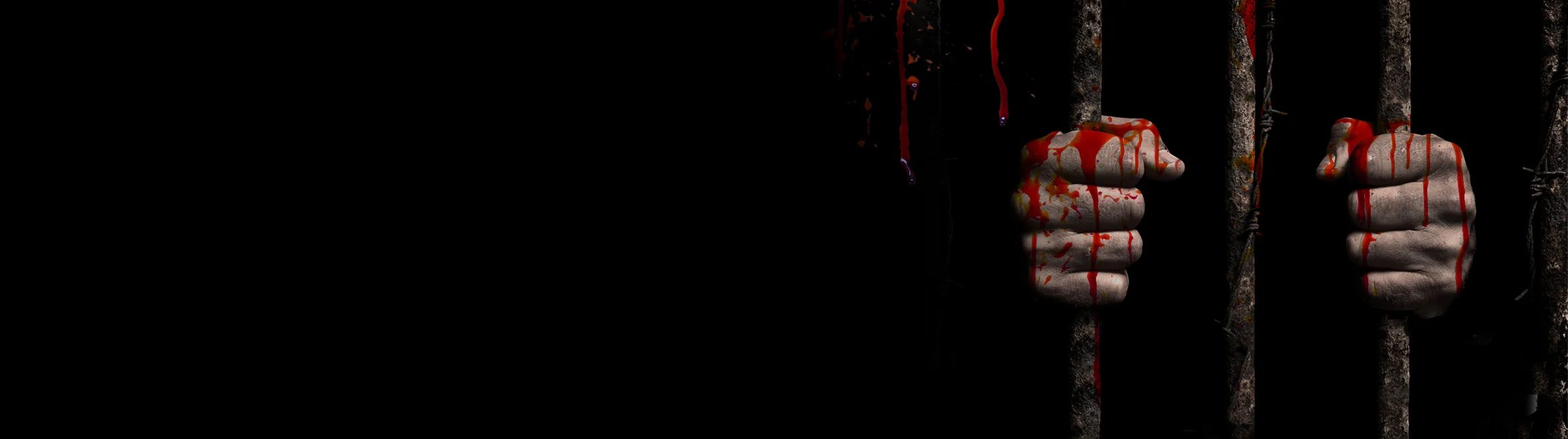 KIDNAPPED_Banner.jpg
