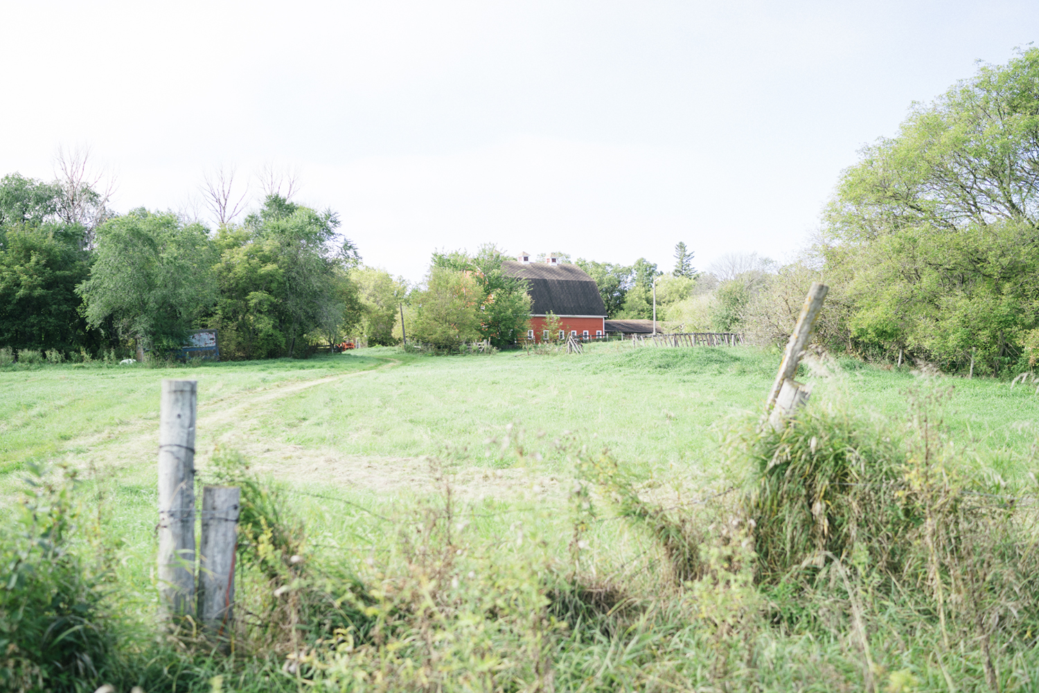 Oak Knoll Farm