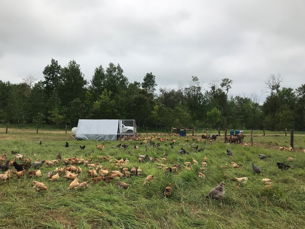 Oak Knoll Farm