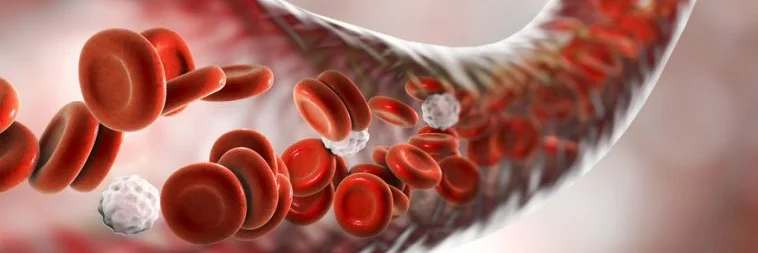 Blood vessel.jpg