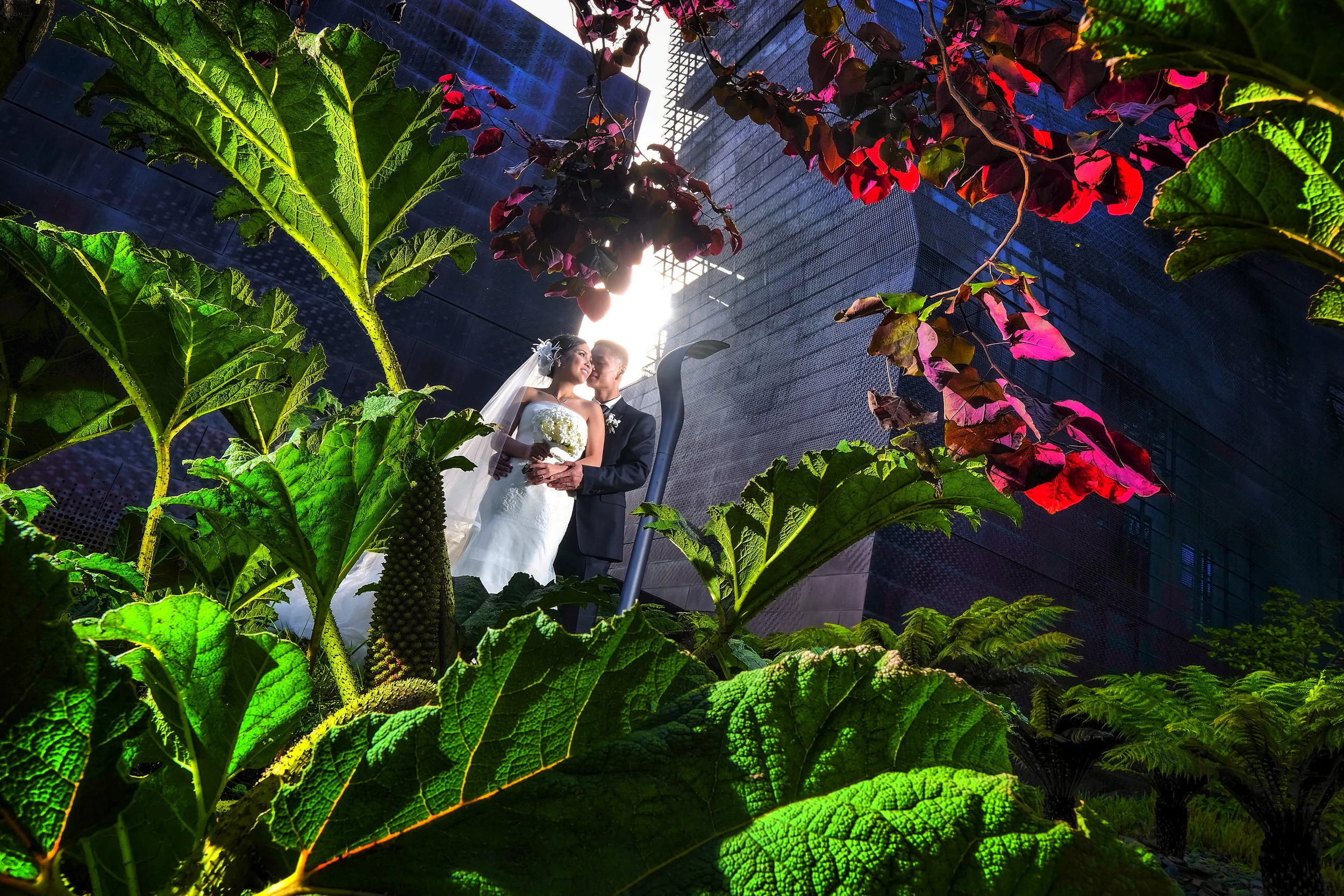 San Francisco MOMA 20150928 220007 #016.JPG