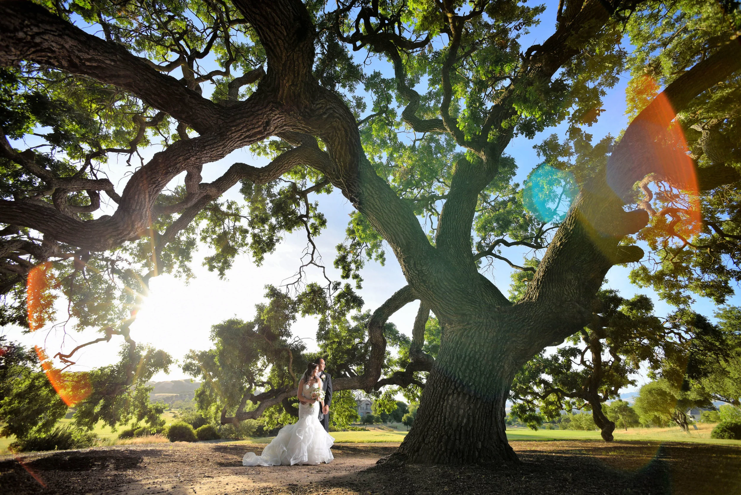 1-Eds-FAVE-Sharon-and-Erik-Wedding-TEASER-94928.jpg