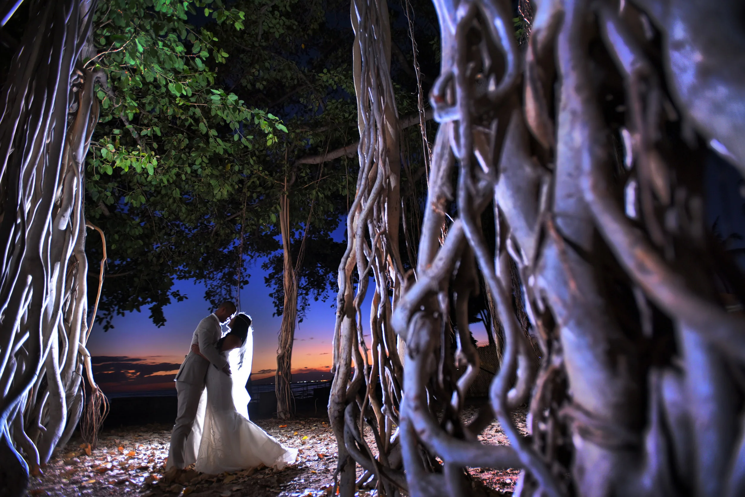 Oahu Waikiki Trees 20150911 093704 #011.JPG