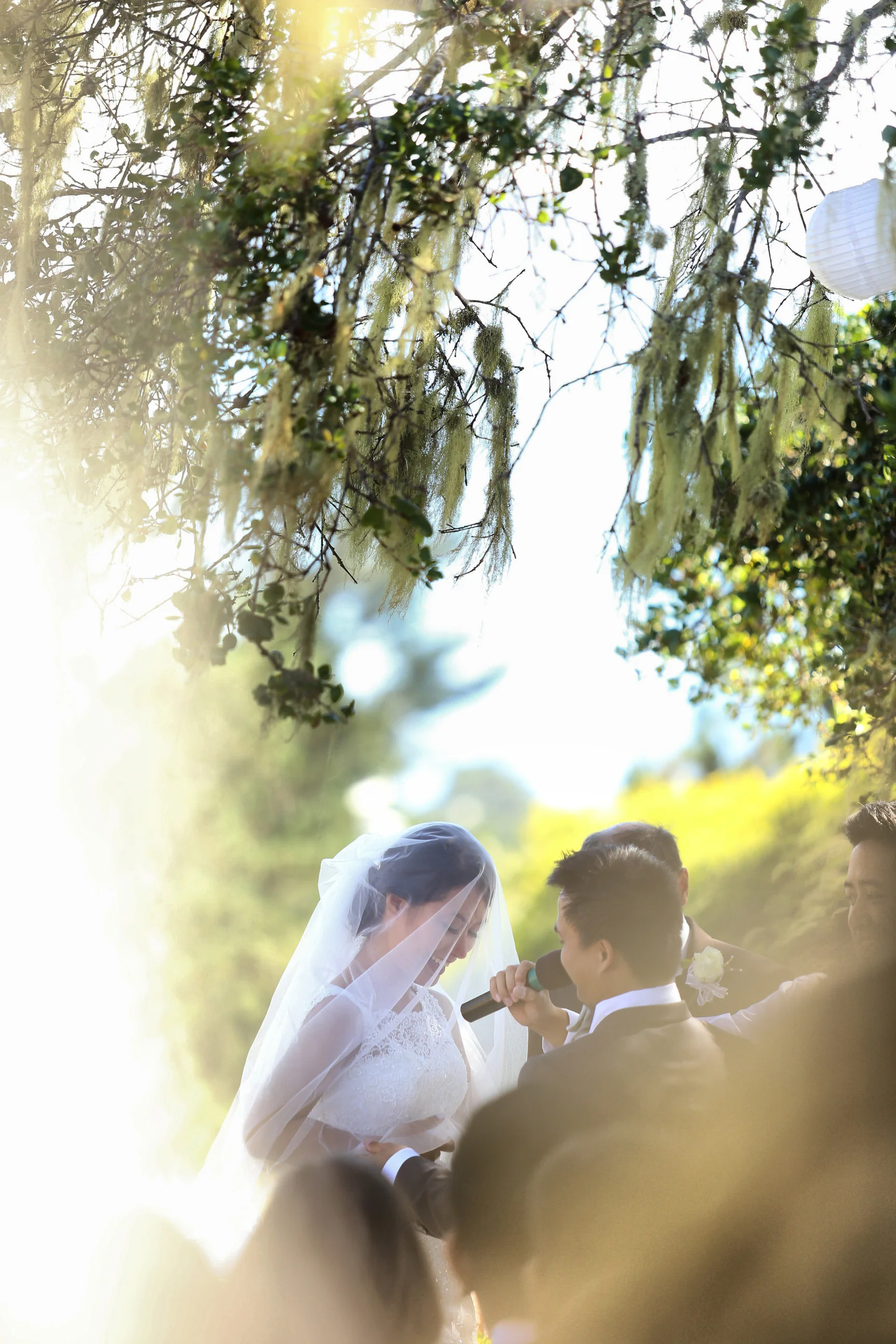 Santa Cruz Wedding Ceremony 20170130 160513 #113.JPG