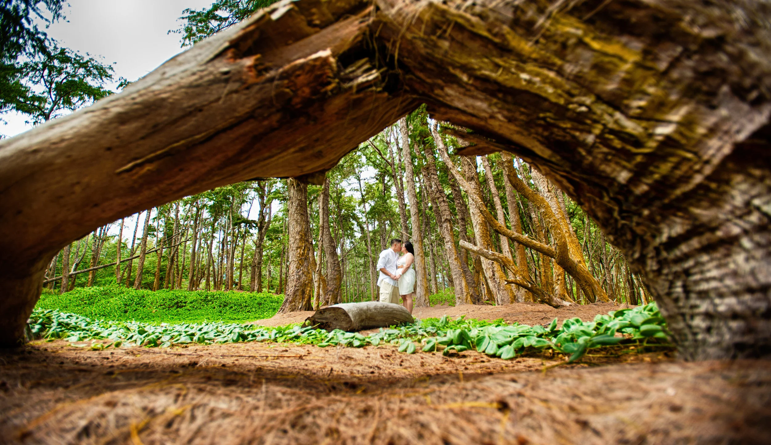 Maui Destination Wedding 20130329 133412 #121.JPG