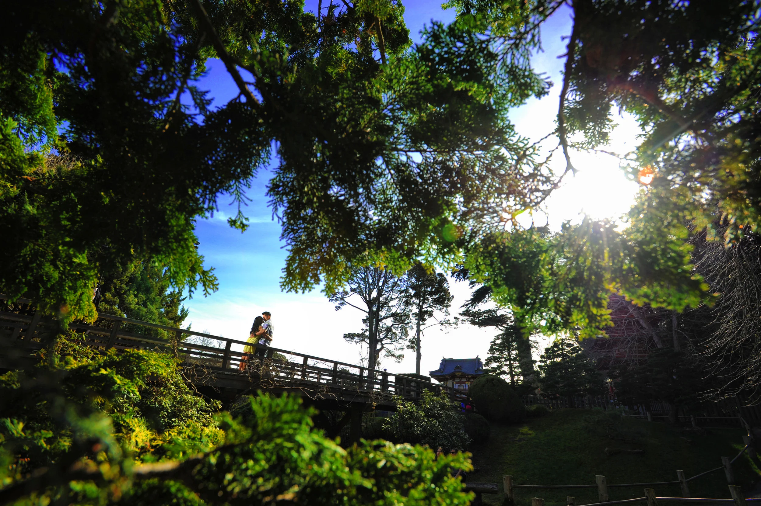 Japanese Tea Garden Engagement 20140219 111616 #231.JPG