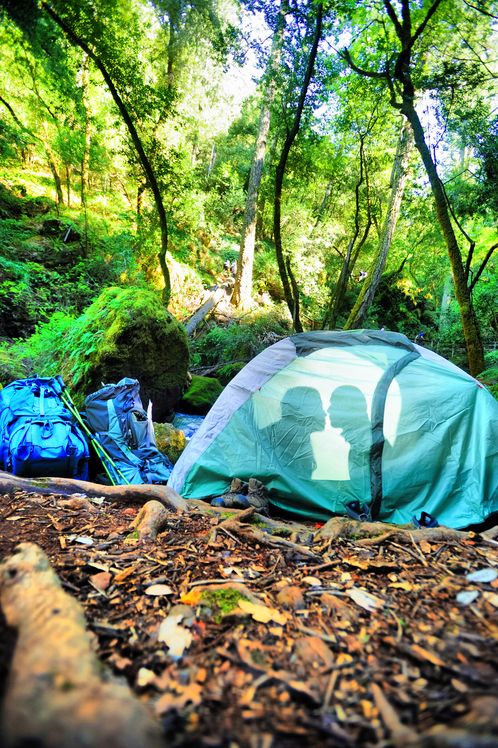 Hiking Sonoma Engagement 20140507 210342 #238.JPG
