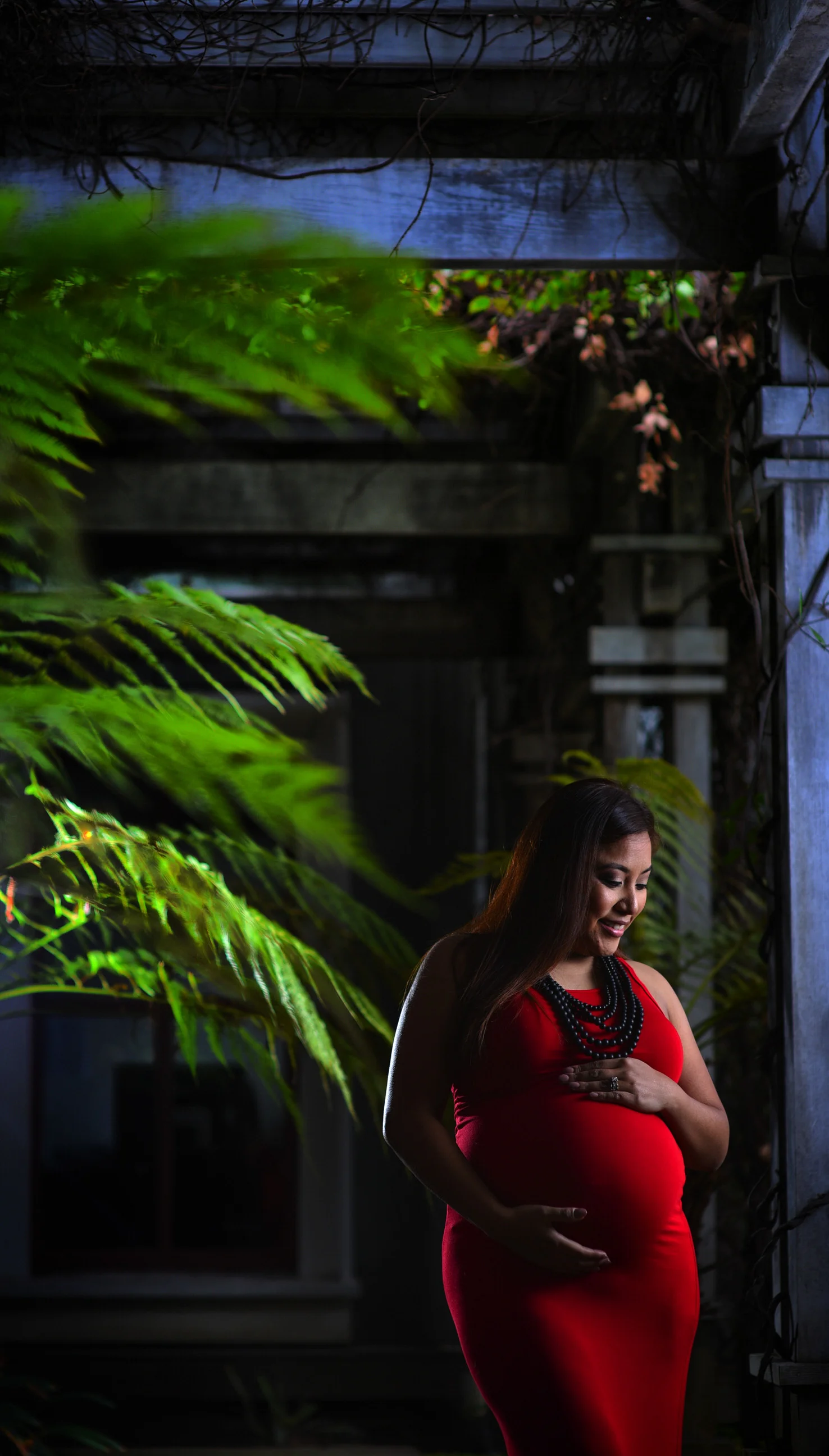 Ed Pingol Maternity 20151230 212951 #250.JPG