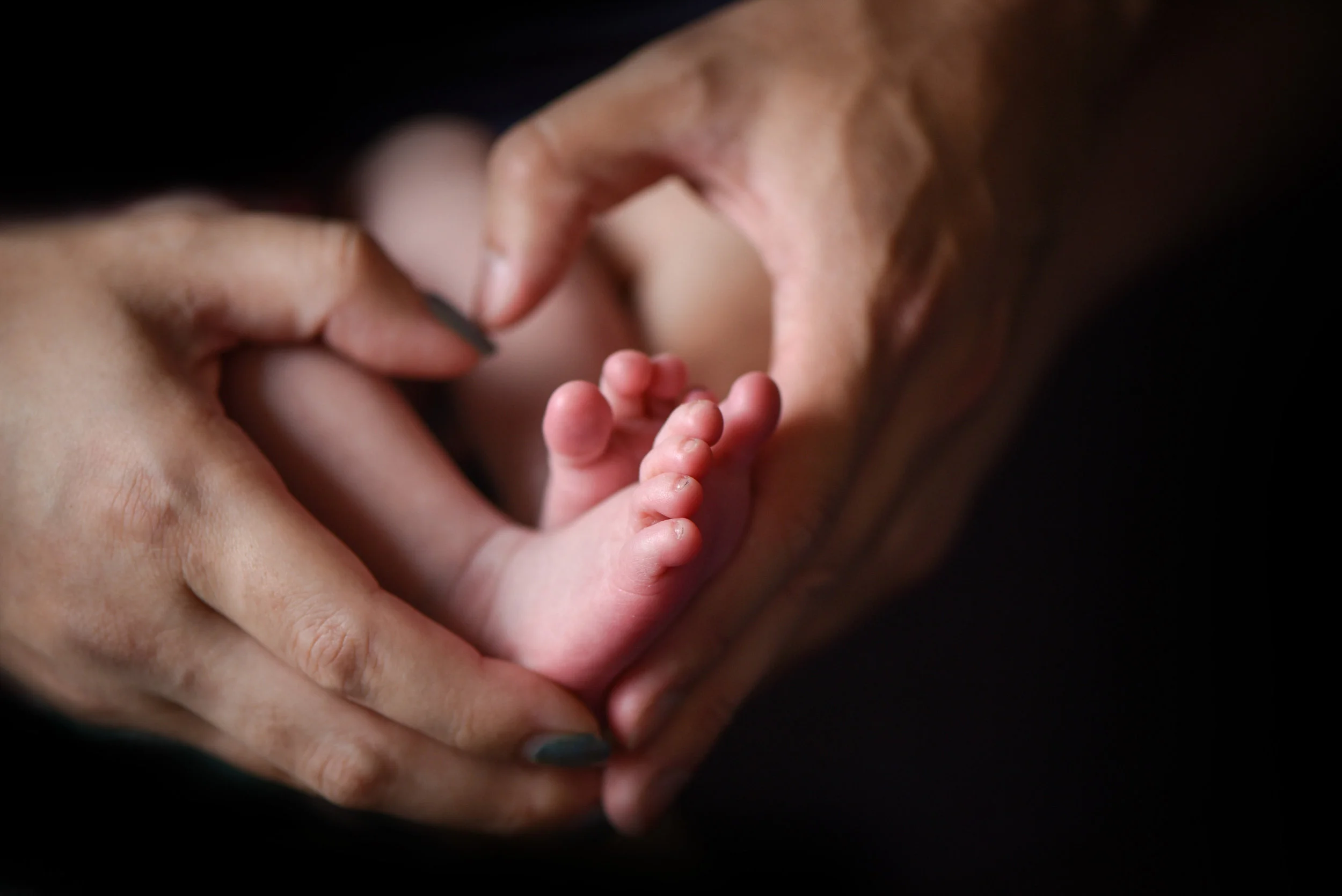 Ed Pingol Newborn 20170823 142311 #286.JPG