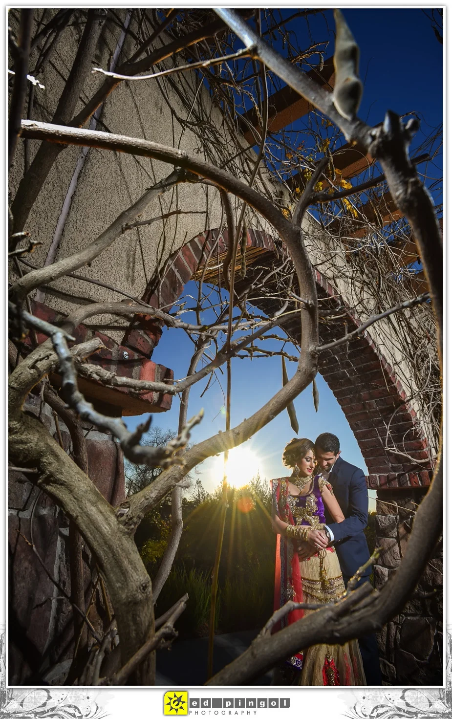 Napa Indian Wedding 1