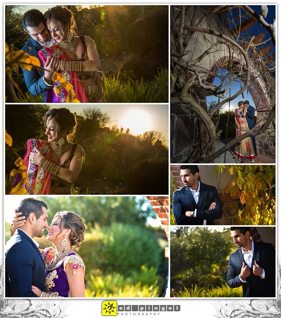 Napa Indian Wedding 3