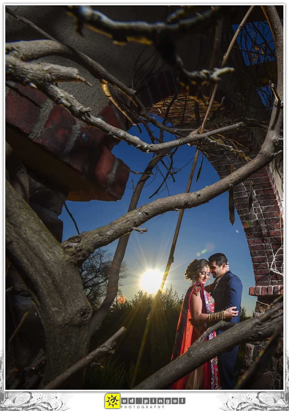 Napa Indian Wedding 5