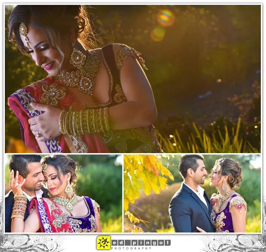 Napa Indian Wedding 7