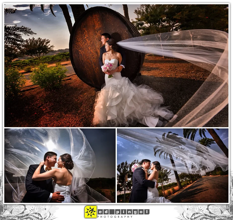 Palm Event Center Wedding 4
