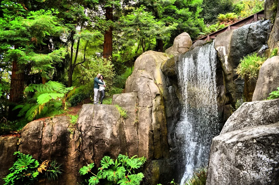 Janssen and Joe Engaged - San Francisco Golden Gate Park