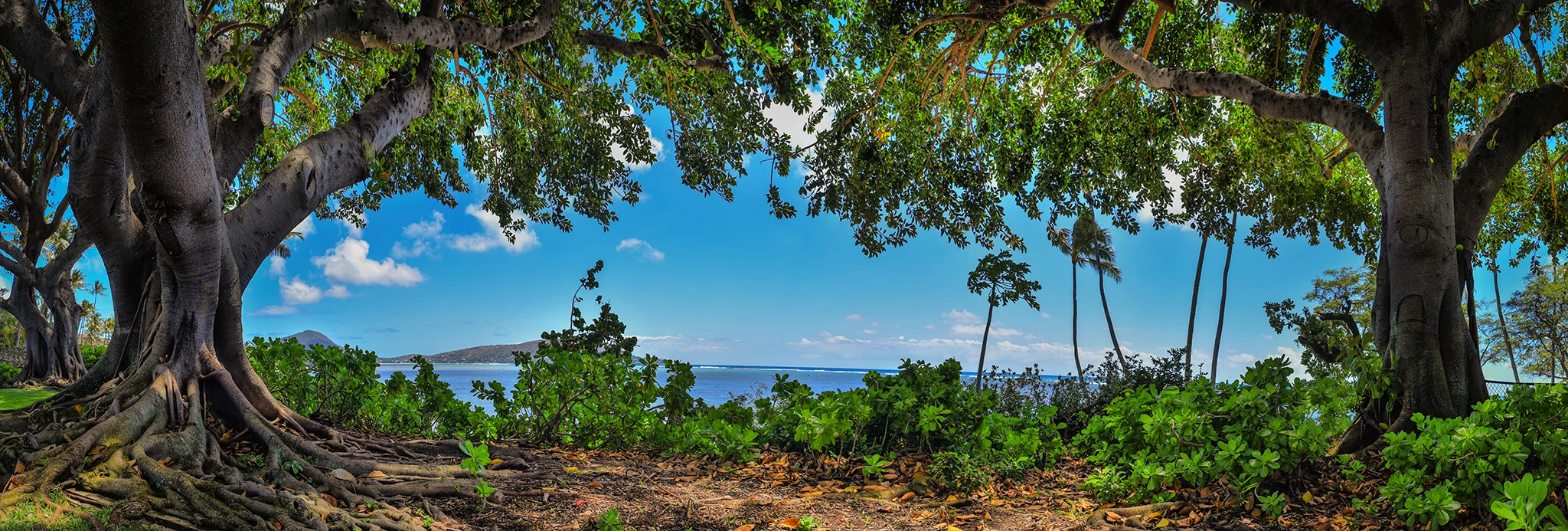 024 - Ed Pingol Photography Super PANO_DL.jpg