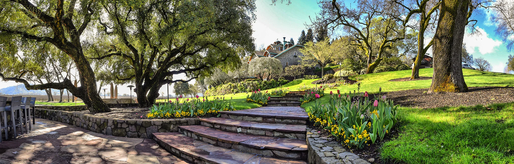 010 - Ed Pingol Photography Super PANO_DL.jpg
