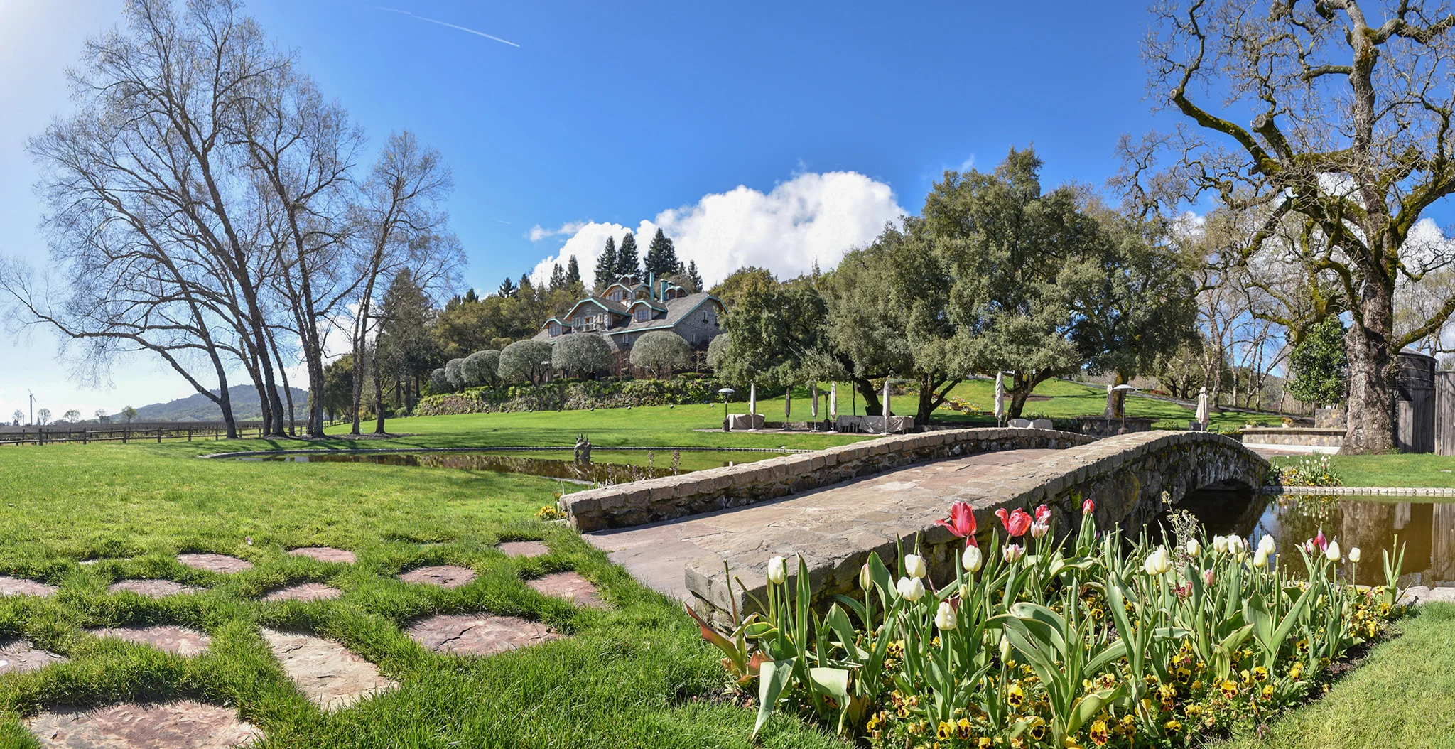 011 - Ed Pingol Photography Super PANO.jpg