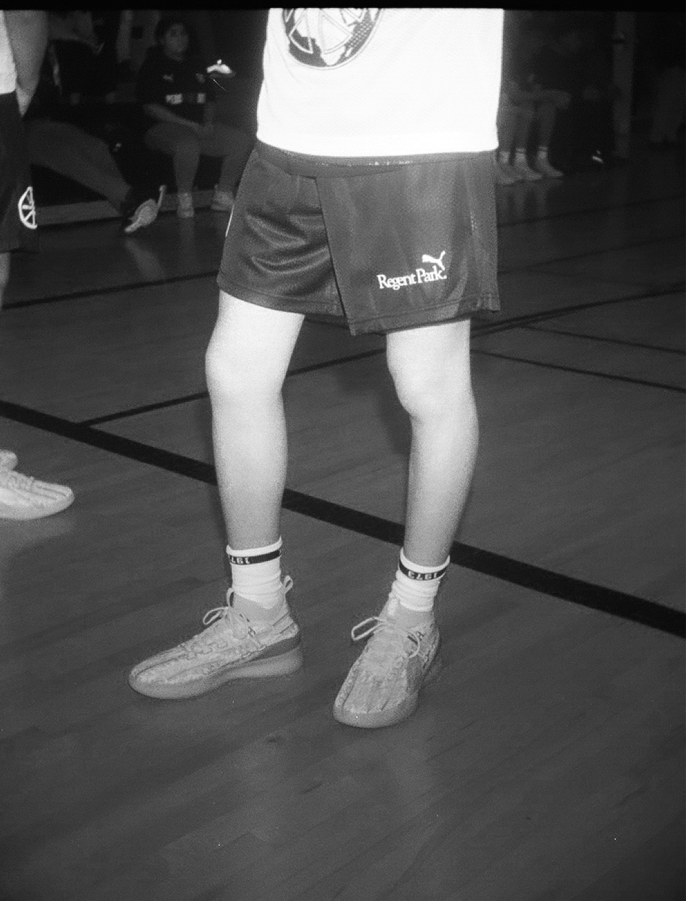 puma5.gif