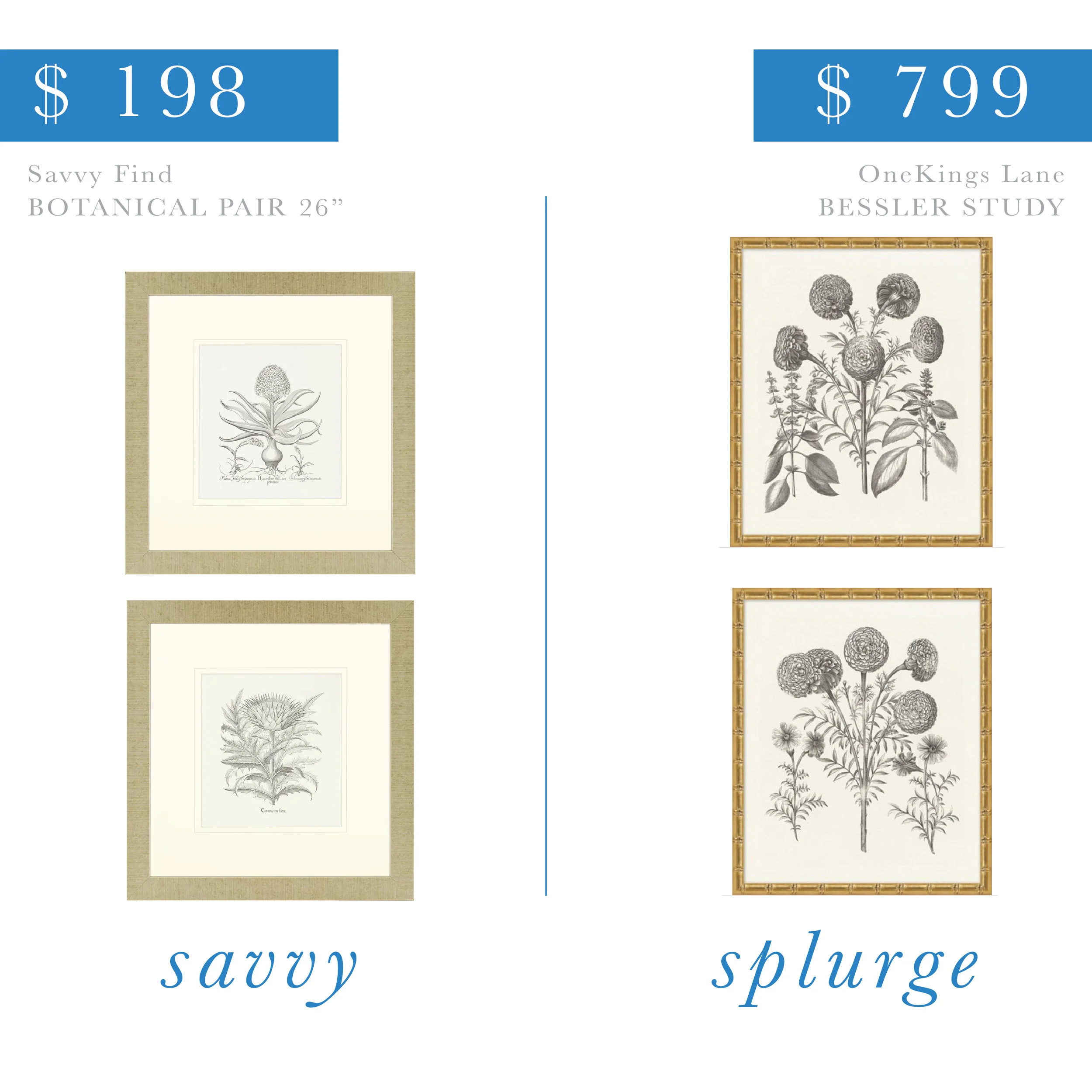 Botanical Line Art Print