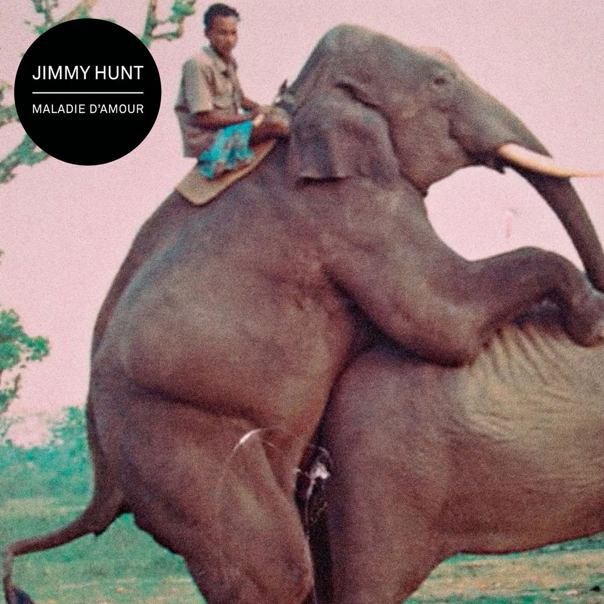 Jimmy Hunt - Nos Corps