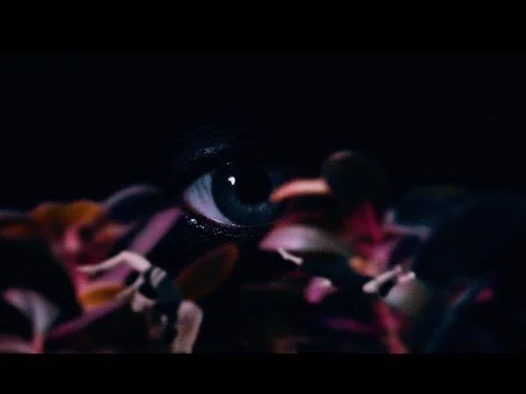 Entremêlés - Valse Fréquence (vidéoclip)