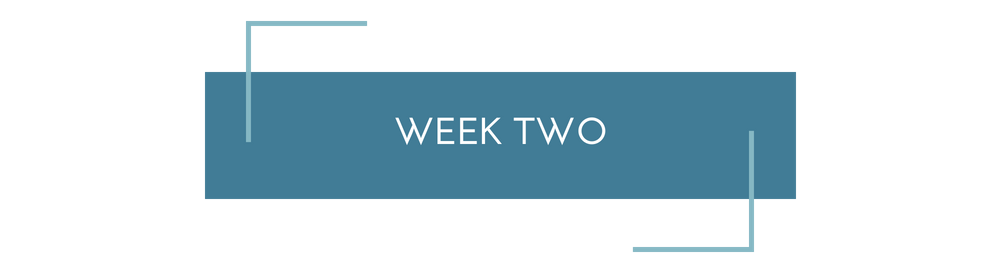 Copy of Sales Page Week%2FModule.png