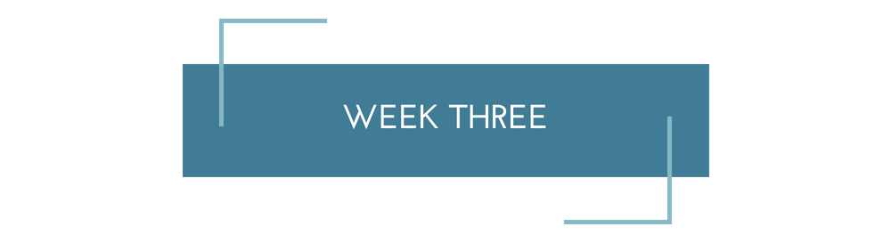 Copy of Sales Page Week%2FModule (1).png