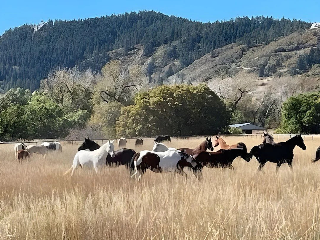 Ready to go the next level?

So often, success is equated with unshakable strength&mdash;but what if true power lies in softness? 

If you are looking for a softer, more powerful way to create&hellip;

&hellip;where you can experience the ease of all