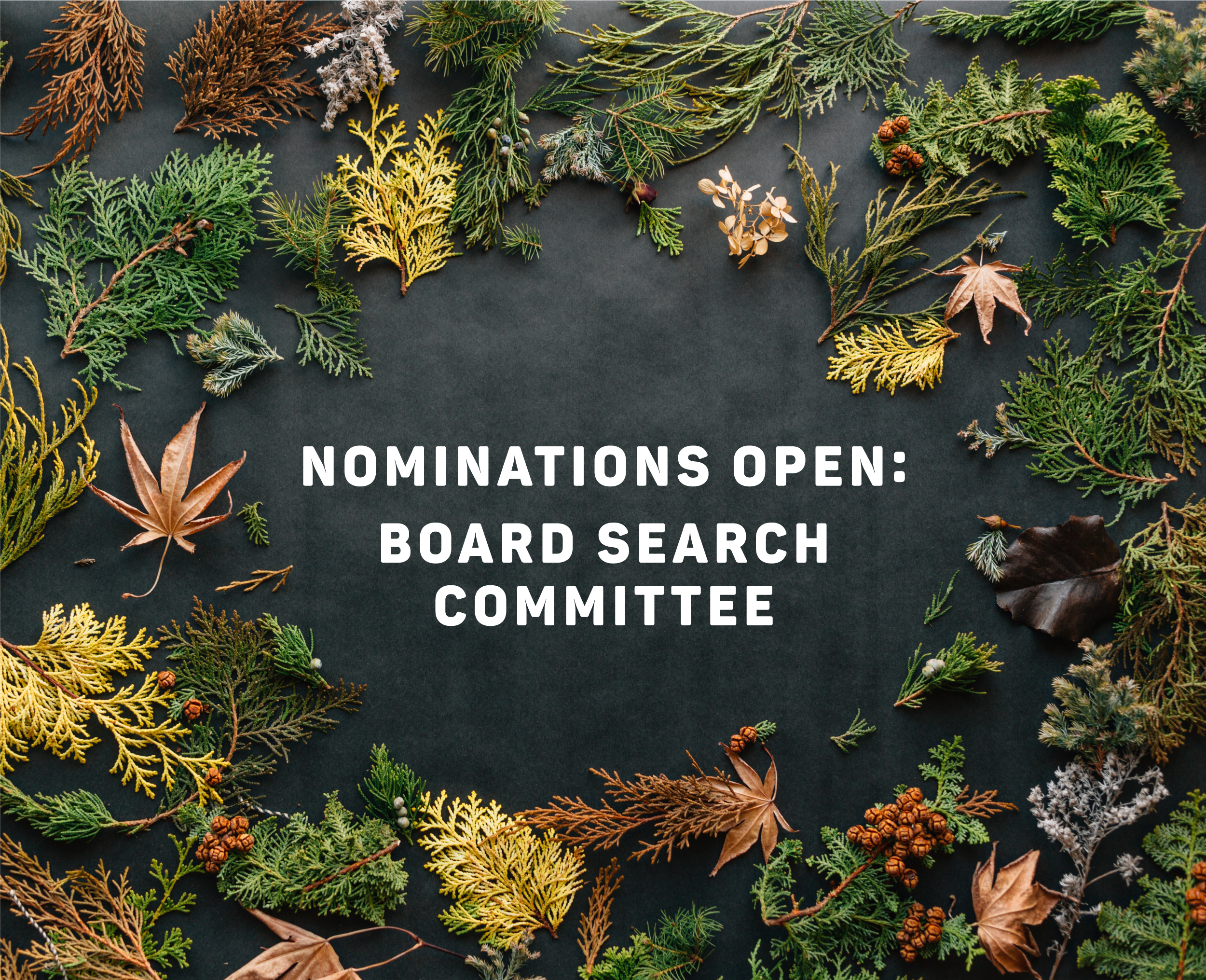 Call for Nominations: Board Search Committee