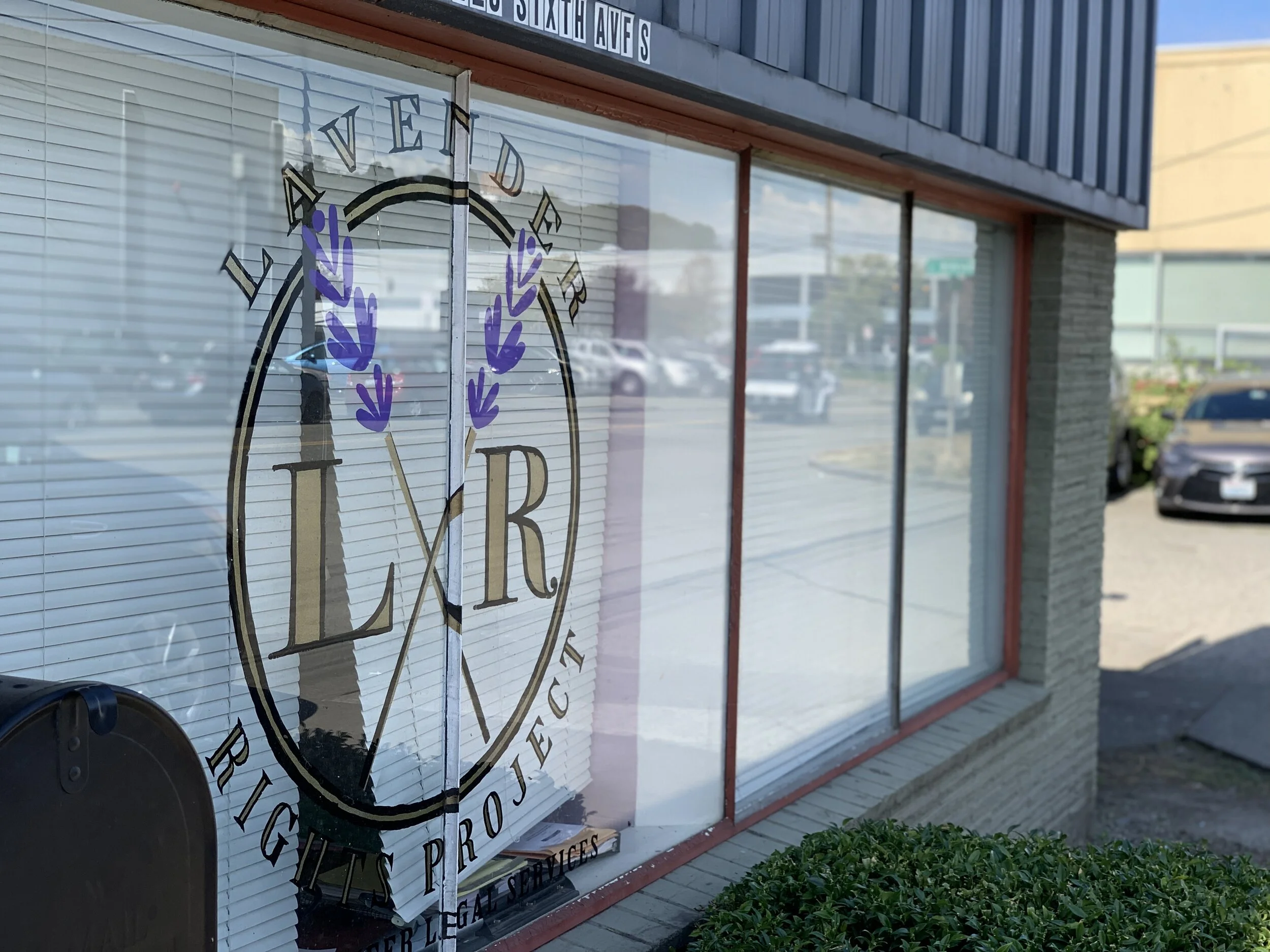 2020 In Reflection — Lavender Rights Project