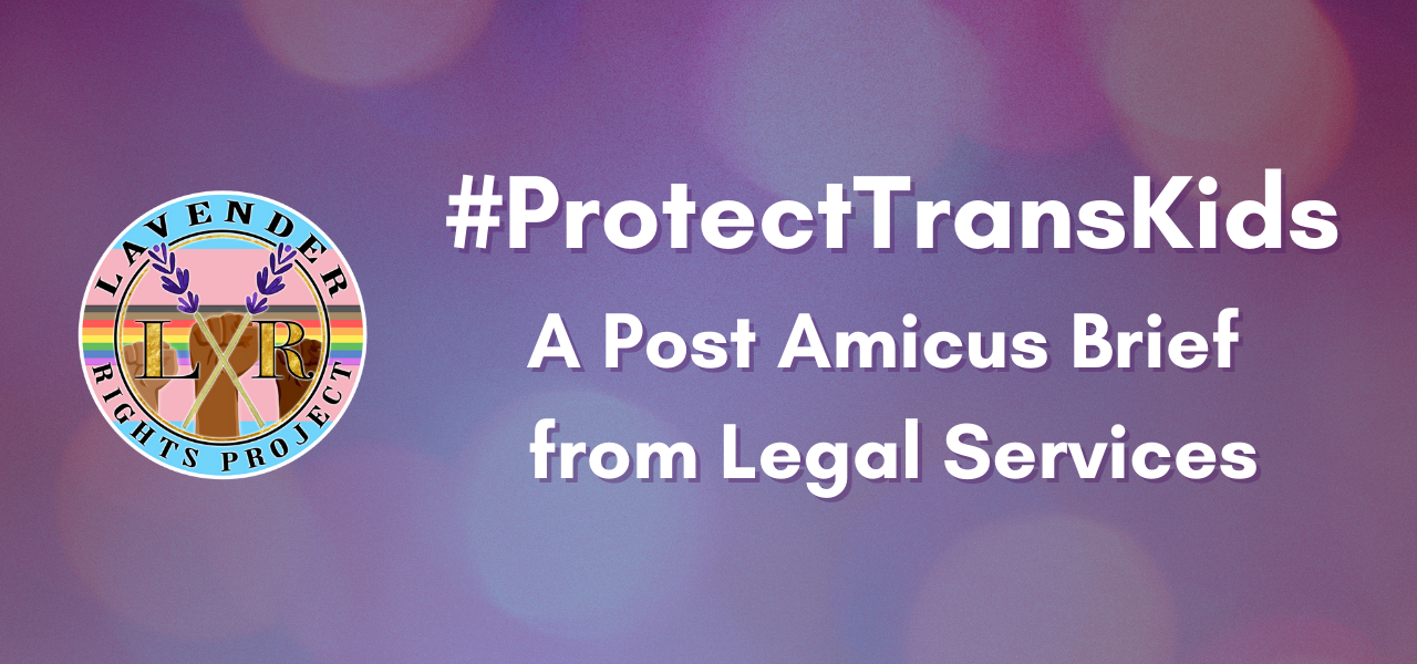 PROTECT TRANS KIDS - A Post Amicus Brief from Legal Services