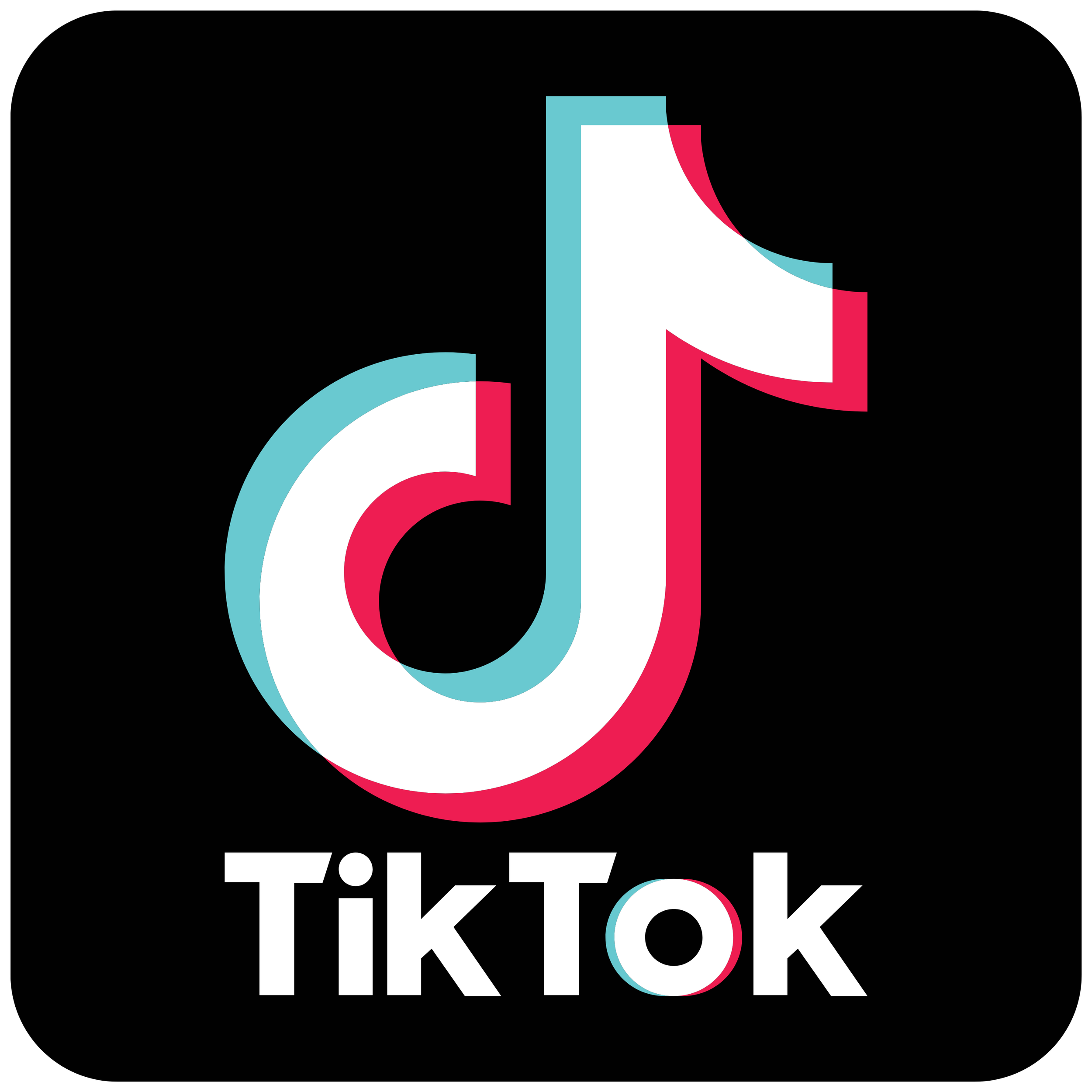 Parents' Ultimate Guide to TikTok