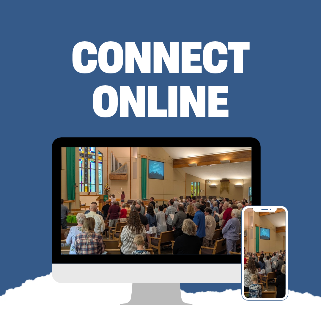 connect online.png