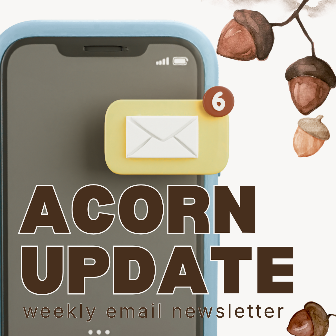 acorn update.png