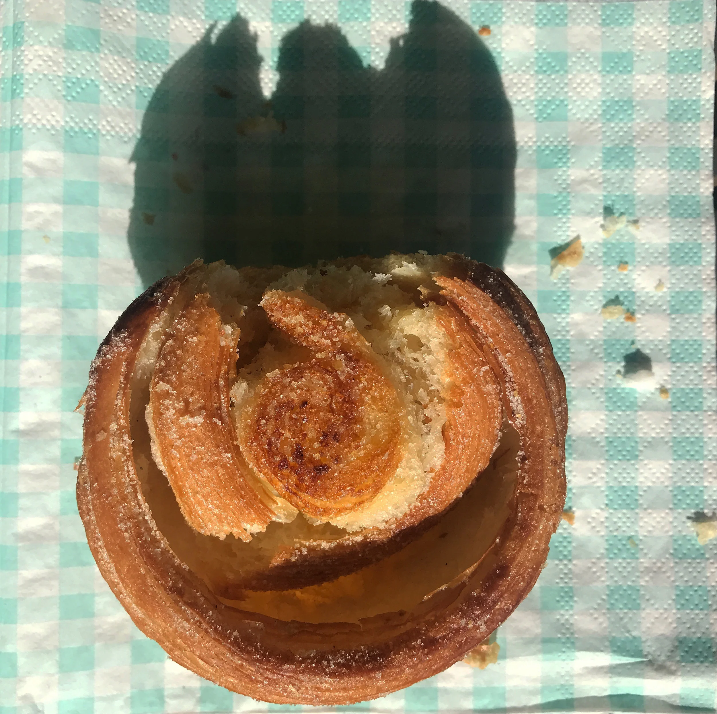Photograph 10.5 x 10.2 cm, 2018