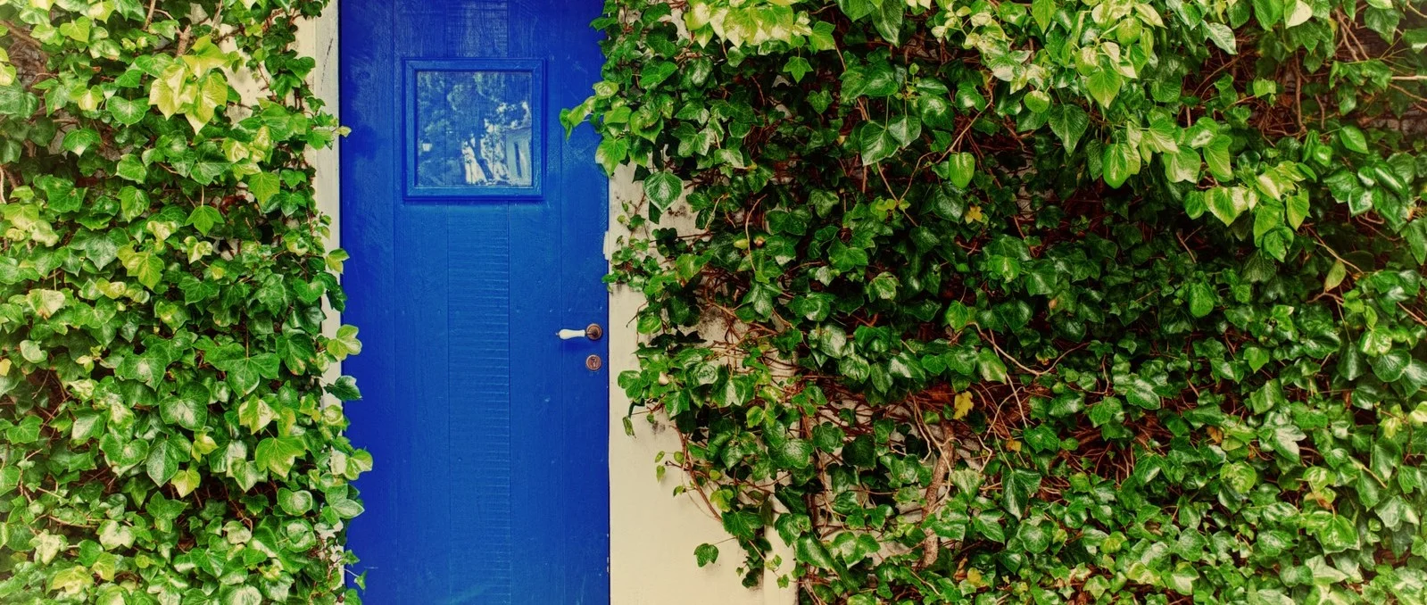 BlueDoor.jpg