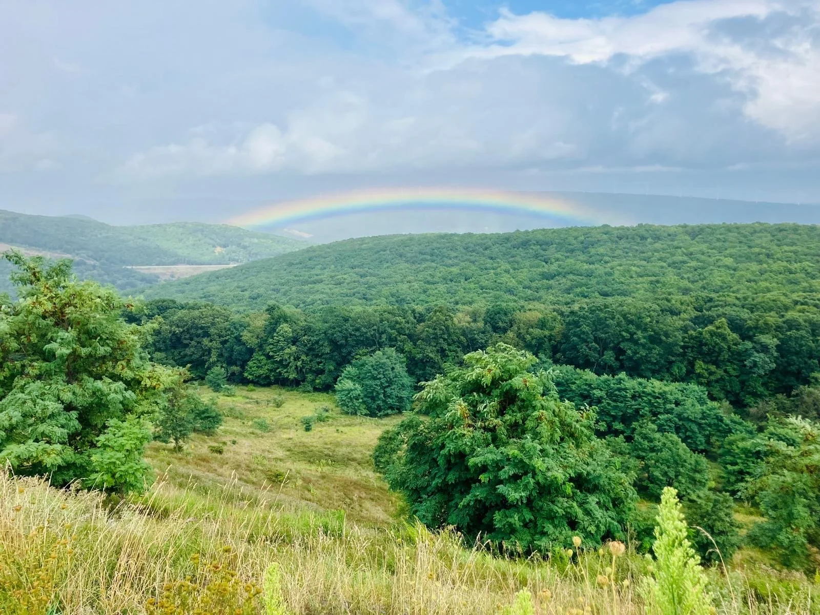 370e1921-edd9-4fa3-ac4b-d99ccb15e79b - Richard Rexrode.jpeg